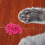 20Pièces Couvre Chats Violet Durable Pour Usage 5