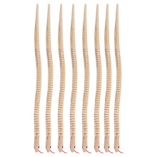 24Stk Realistisches Holzschlangen Tier Spielzeug Für Kinder Beige