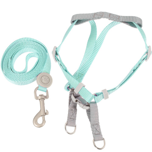 3Ensembles Kitten Laisse Chat Vert Réglable Durable