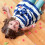 200Pièces Jouets De Comptage Plastiques Rosées Pour 10