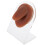 2Pièces Outils Pratique Piercing Langue Silicone Café Texture Réaliste 1