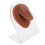 2Pièces Outils Pratique Piercing Langue Silicone Café Texture Réaliste 2