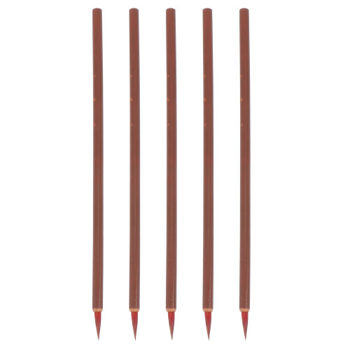10Pièces Pinceaux Polyvalents Pour École
