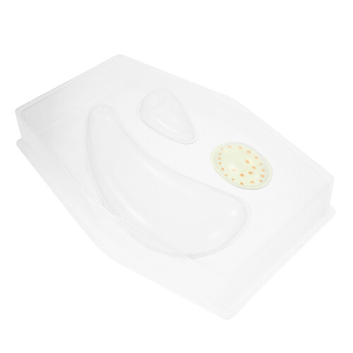 2Pcs Plastic Transparent Plant Cell Model Stem Educational Science Kit