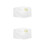 2Pcs Plastic Transparent Plant Cell Model Stem Educational Science Kit 5