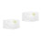 2Pcs Plastic Transparent Plant Cell Model Stem Educational Science Kit 4