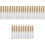 30Pièces Tubes Transparents Dorés Pour Brosse 4