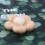 6Pièces Boules De Laine Beige Décoration DIY Épingles À 6
