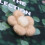 6Pièces Boules De Laine Beige Décoration DIY Épingles À 8