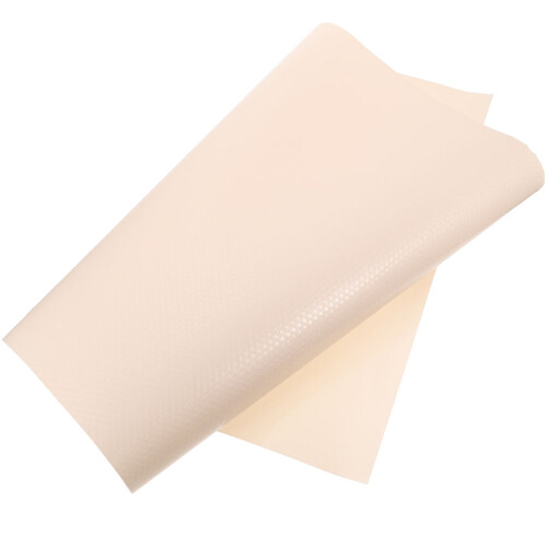 5Pcs Beige Eva Reptile Substrate Carpet Soft Mat for Turtle Cage 1