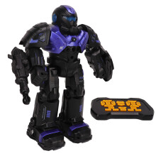 Multifunctional Gesture Sensing RC Robot 16.5x8.5x26.5cm, Black Purple