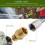 Quickly Connect Brass Adapter For High Pressures Systems M 22 4