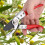 Garden Pruning Tools, Rust Resistant Garden Scissors With Exquisite Workmanship, Lightweight Design For Comfortable And Safe Gardening Experience 5