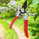 Garden Pruning Tools, Rust Resistant Garden Scissors With Exquisite Workmanship, Lightweight Design For Comfortable And Safe Gardening Experience 4