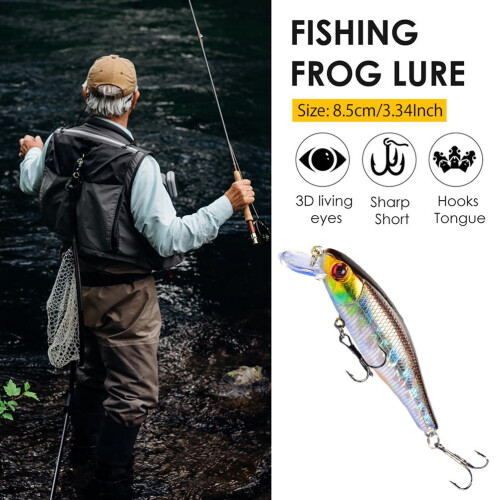 Lebensechtes Angelköder-Set, realistische Swimbait-Minnow-Köder für Barsch und Forelle, Salzwasser- und Süßwasser-Hartköder mit 3D-Augen, 2