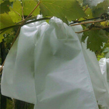 600PCS Garden Plant Fruit Cover Protect Net Mesh Bag Against Insect Bird Pest
