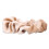 Scrunchie elastici per capelli 10 pezzi - Taglia unica - Crema 9