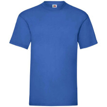 (XXL, Royal Blue) Fruit of the Loom Mens Valueweight T-Shirt