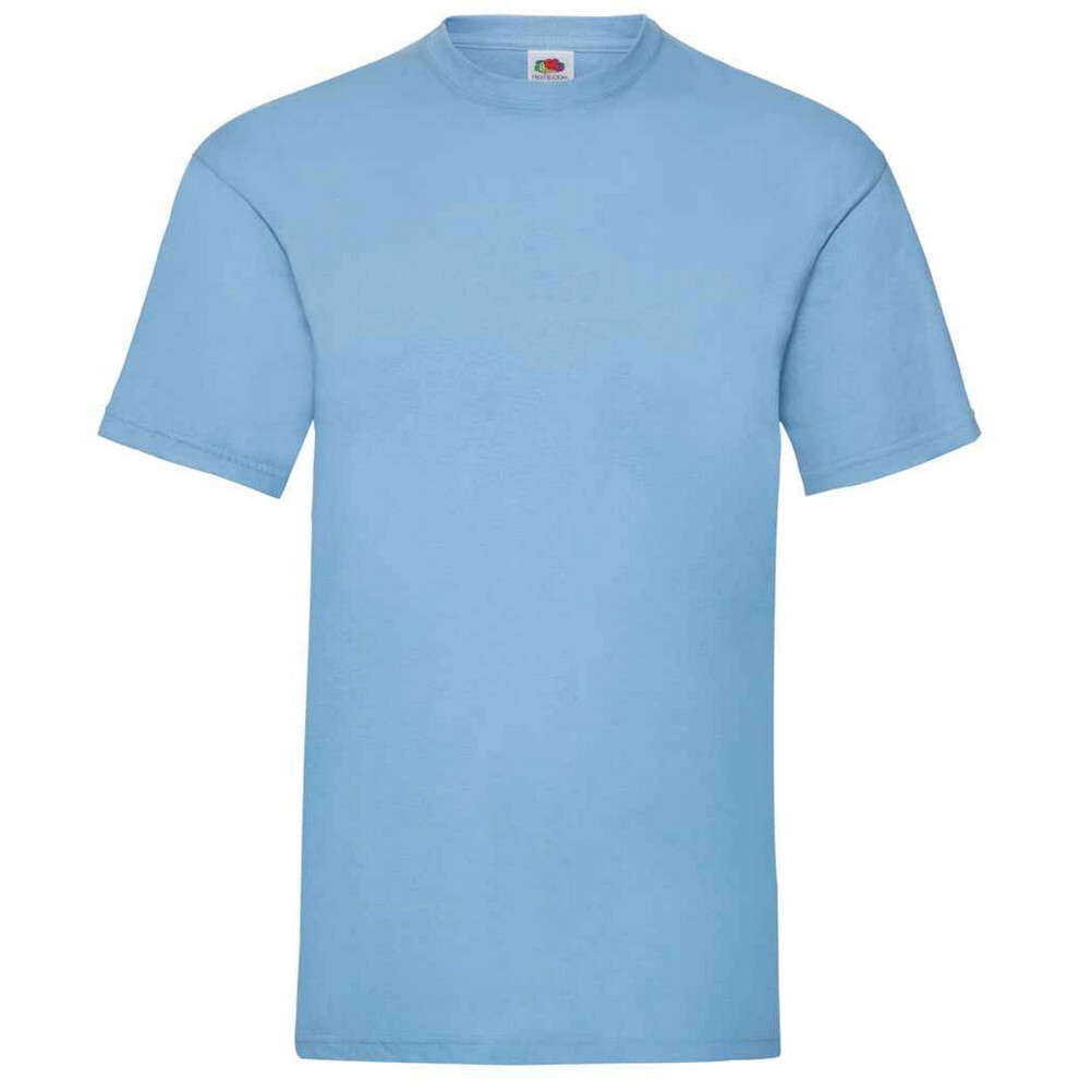 Fruit Of The Loom (S, Sky) Mens Valueweight T-Shirt Multicoloured