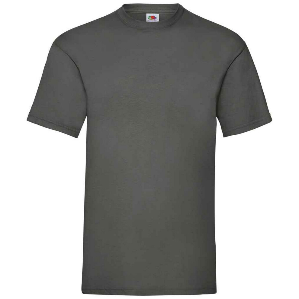 Fruit Of The Loom (Xl, Light Graphite) Mens Valueweight T-Shirt