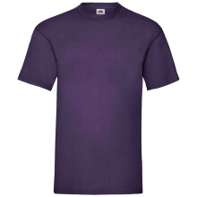 (XL, Purple) Fruit of the Loom Mens Valueweight T-Shirt