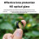 For Shadow Stone Insta360 GO Ultra lens protector glass material lens protector panoramic camera accessories 5