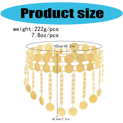 Adjustable Two Tiers Coin Tassels Hip Chain for Dance 2