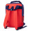 Harry Potter Harry Potter 4 Piece Backpack Set (Unisex Kids Red) 3