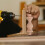 10St Onbehandelde Balusters Voor Trap Steun En 7