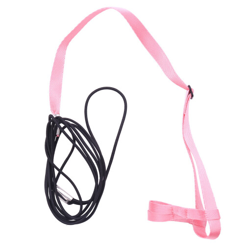 2X Pet Bird Harness and Leash,Adjustable  Bird Harness Leash - Pet Anti-Bite Training Rope (P) 1