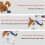 Micro Blocks Set, Dog Model Kit DIY Micro 3D Building Blocks, Mini Toy Gifts 5