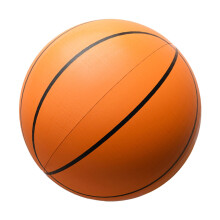 Indoor Basketball Size 7, Synthetic Leather, LowNoise Airless Ball, Quiet Training Ball