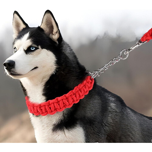 Dog leash for outdoor walks, no pulling, practical nylon leash, adjustable towing rope for large dogs Ref: 2685 2