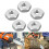 Bar Nut Set For Chainsaw Chainsaw Bar Nuts Reliable Solution Secure Installation Chainsaw Repair Chainsaw Accessories 6