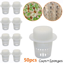 Hydroponic Basket 50pcs Net Cups Slotted Mesh Soilless Culture Nursery Pots 35 35mm Basket Cloning Cylinders Sponge For Orchids