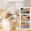 Flea Comb for Cats and Dogs  With Release Button  Ergonomic Deshedding Tool Yellow 5