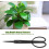 Bud Trimmbonsai Scissors, Ergonomically Designed Long Handles, Sharp Blades, Shears for Trimming Branches and More 2
