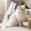 Blisters and PET Flea Removal  Pet Grooming Tool with Fine Teeth 4