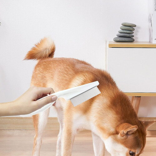 Blisters and PET Flea Removal  Pet Grooming Tool with Fine Teeth 1