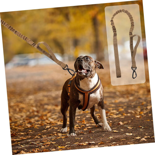 2 Pieces  Durable Dog Training Leash Comfortable Handle Quick Release for Dogs 1