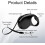 Retractable Dog Lead 5m, Extendable with Handle for Walks 5