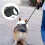 Retractable Dog Lead 5m, Extendable with Handle for Walks 4
