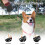 Retractable Dog Lead 5m, Extendable with Handle for Walks 2