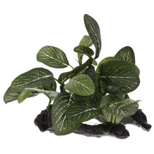 Artificial aquatic plants for aquarium decoration, longlasting plastic plants for fish tanks
