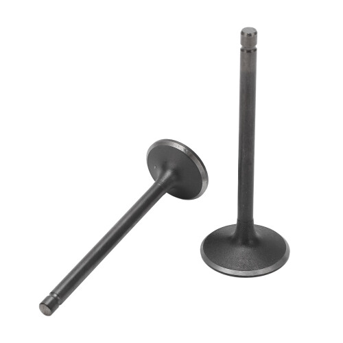 Black Exhaust Intake Valve Set for Multiple ATV/Motorcycle Models 2004-2018