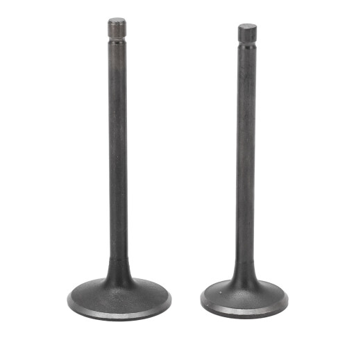 Black Exhaust Intake Valve Set for XG250 TRICKER 2004-2017 Replacement 1