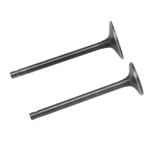Schwarzes Auspuff-Ansaugventil-Set für XG250 Tricker 2004-2017 Ersatz