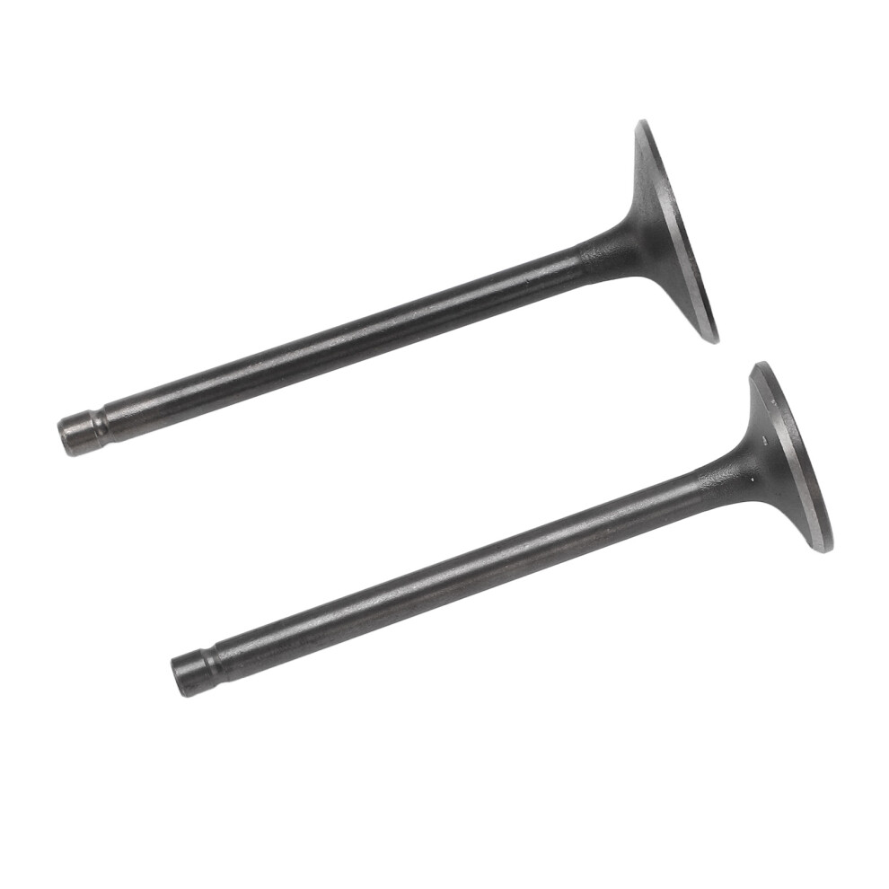 Exhaust Intake Valve Set For Xg250 Tricker 2004-2017 Replacement Black 4651381550934