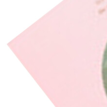 Self Adhesive Pink Bird Photo Album DIY Scrapbook Writable Inner Pages