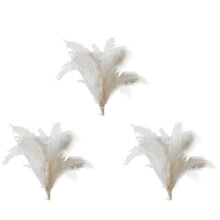 White Pampas Grass - 30 Pampas Stems of Fluffy Pampas Grass for Wedding, Home, and Event Decor - Dried Pampas Grass